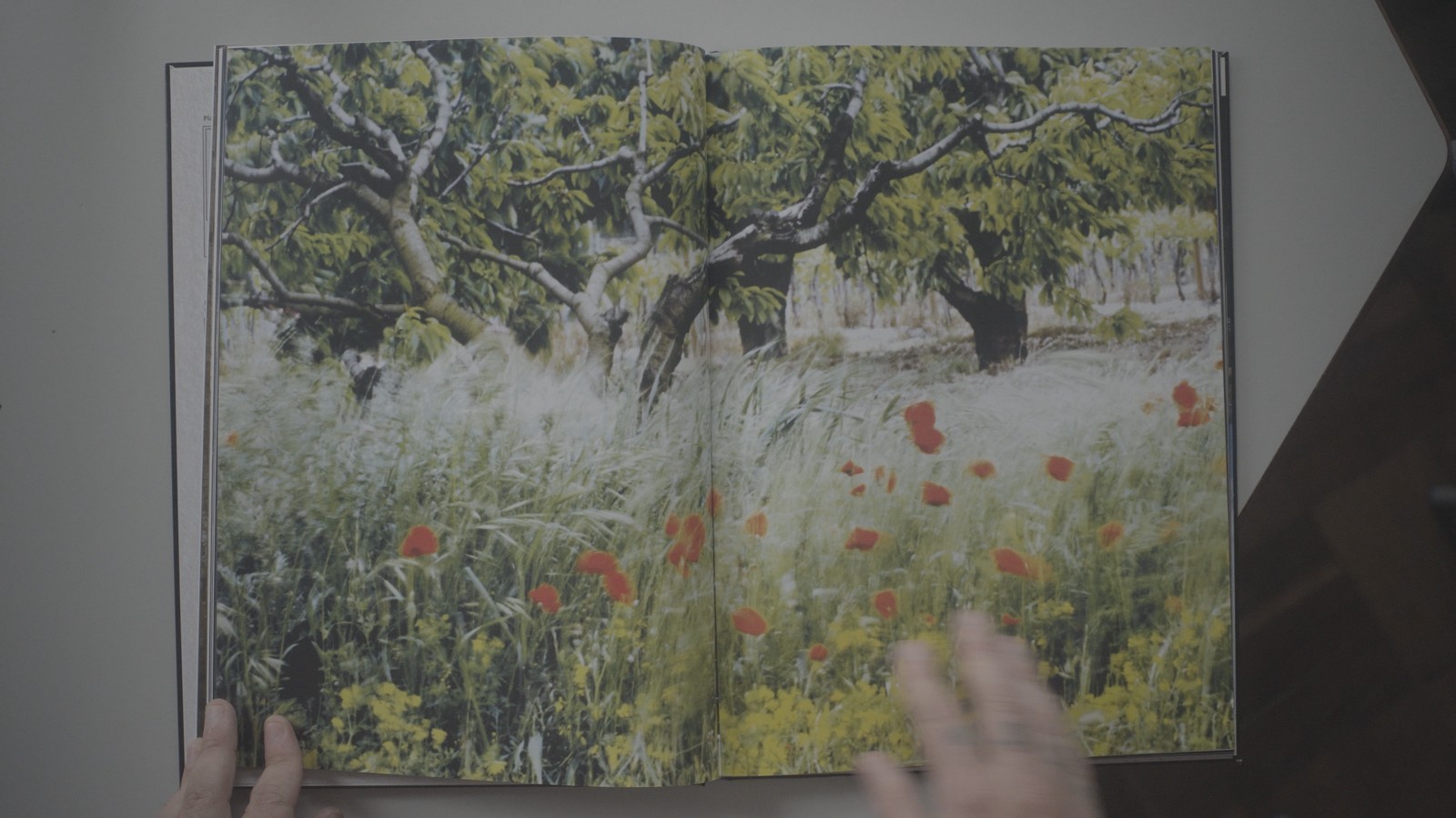 Fotolivro aberto sobre a mesa, sem a LUT