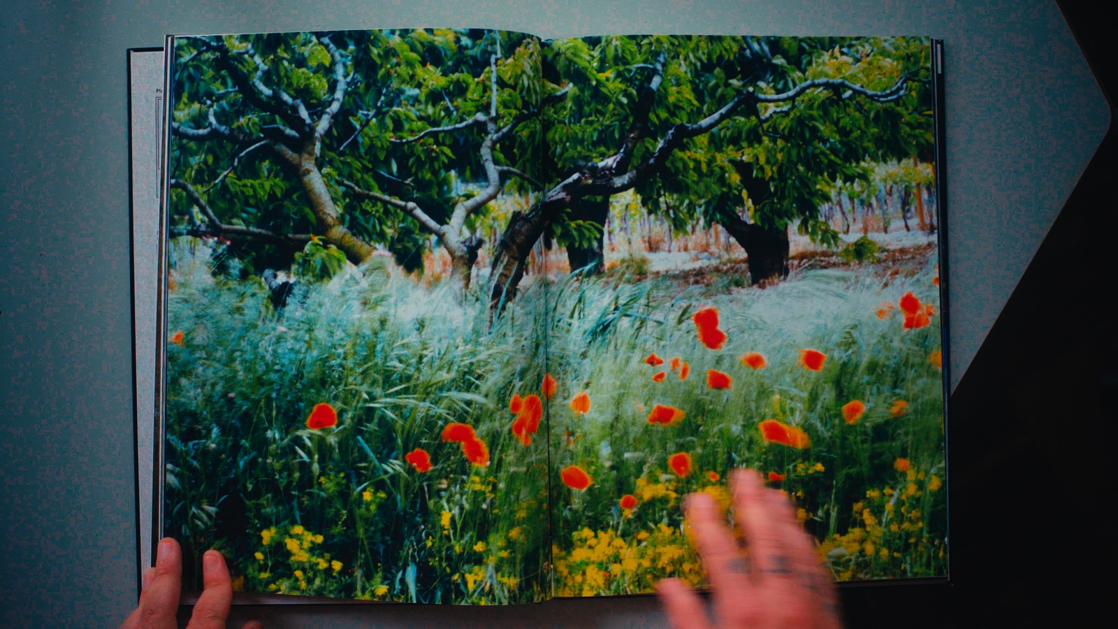 O mesmo fotolivro aberto sobre a mesa, com a COLORADO LUT aplicada