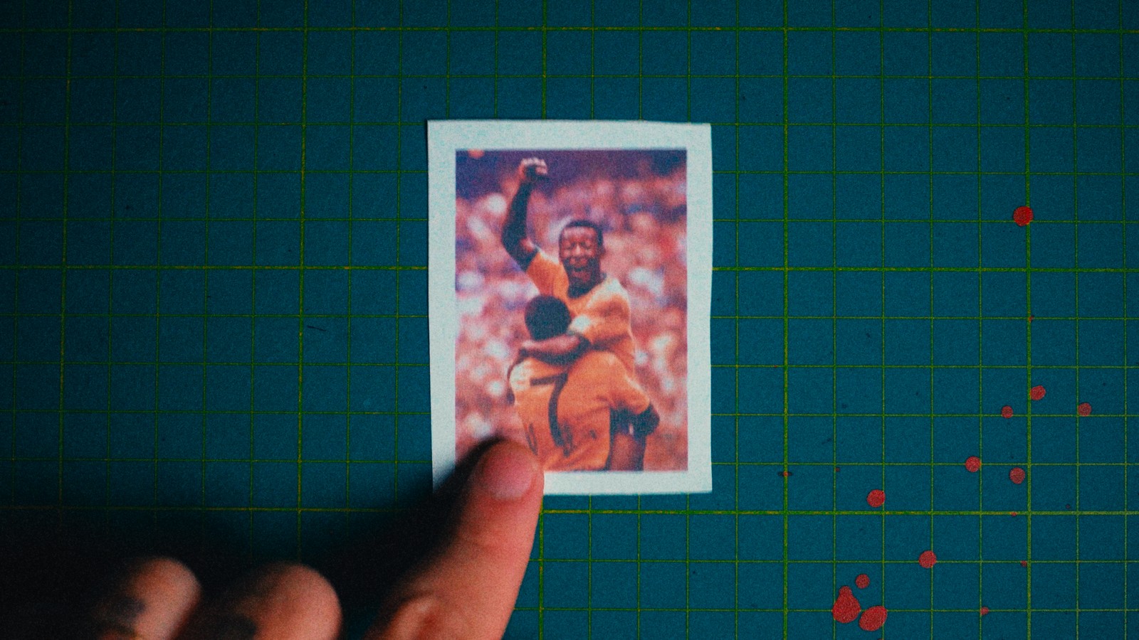A mesma foto impressa sobre mesa de corte, com a COLORADO LUT aplicada